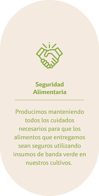 NextUI hero Image with delay