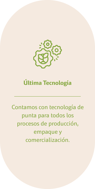 NextUI hero Image with delay