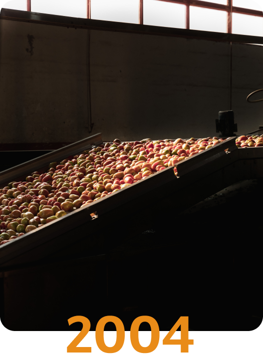 NextUI hero Image with delay