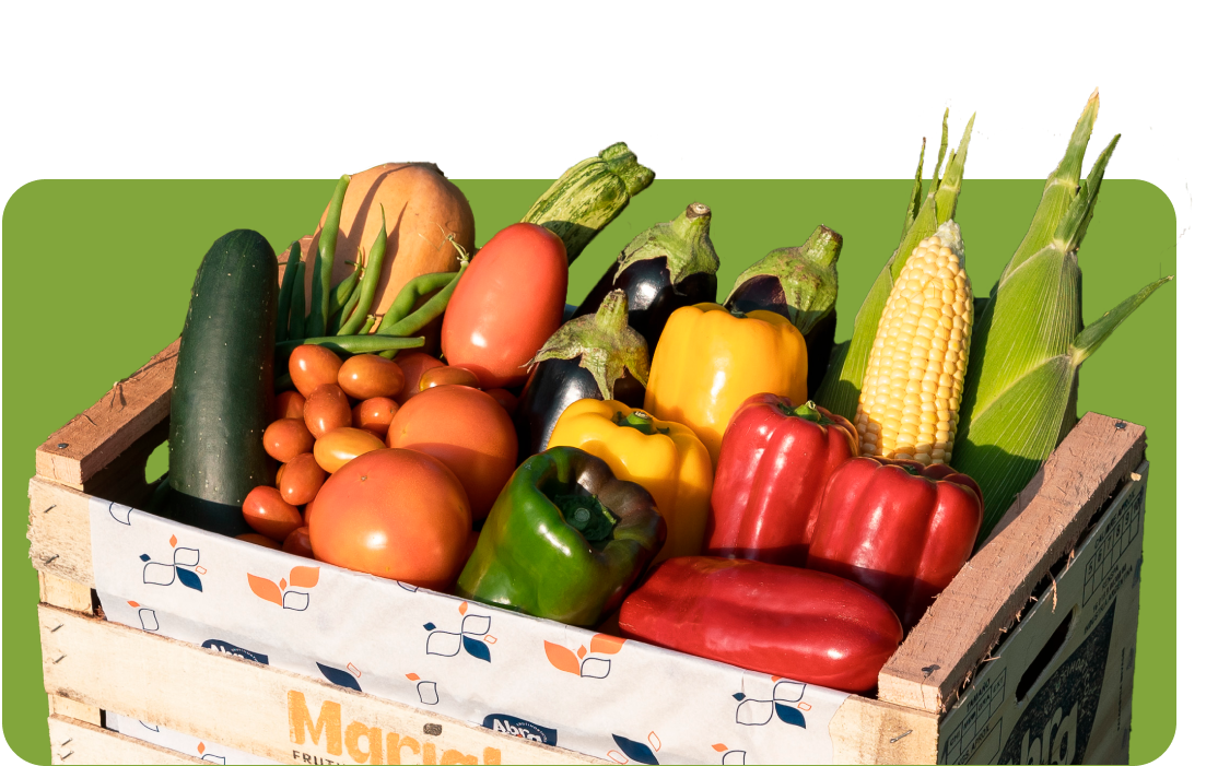 NextUI hero Image with delay